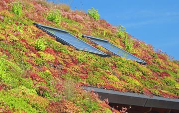 Newmans Place living roof systems