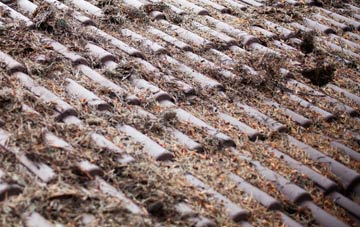 Newmans Place roof cleaning companies